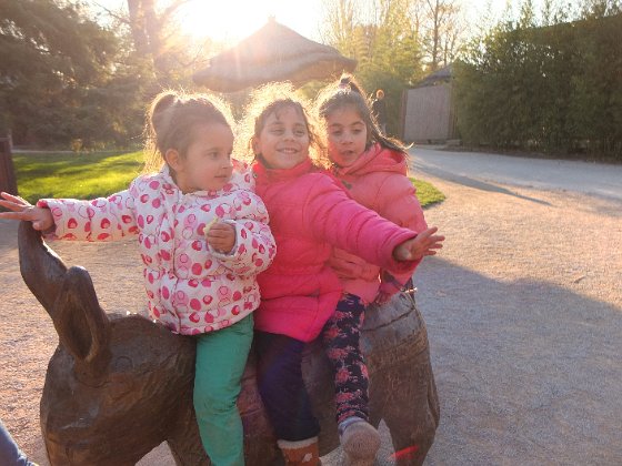 zoo1 (31)